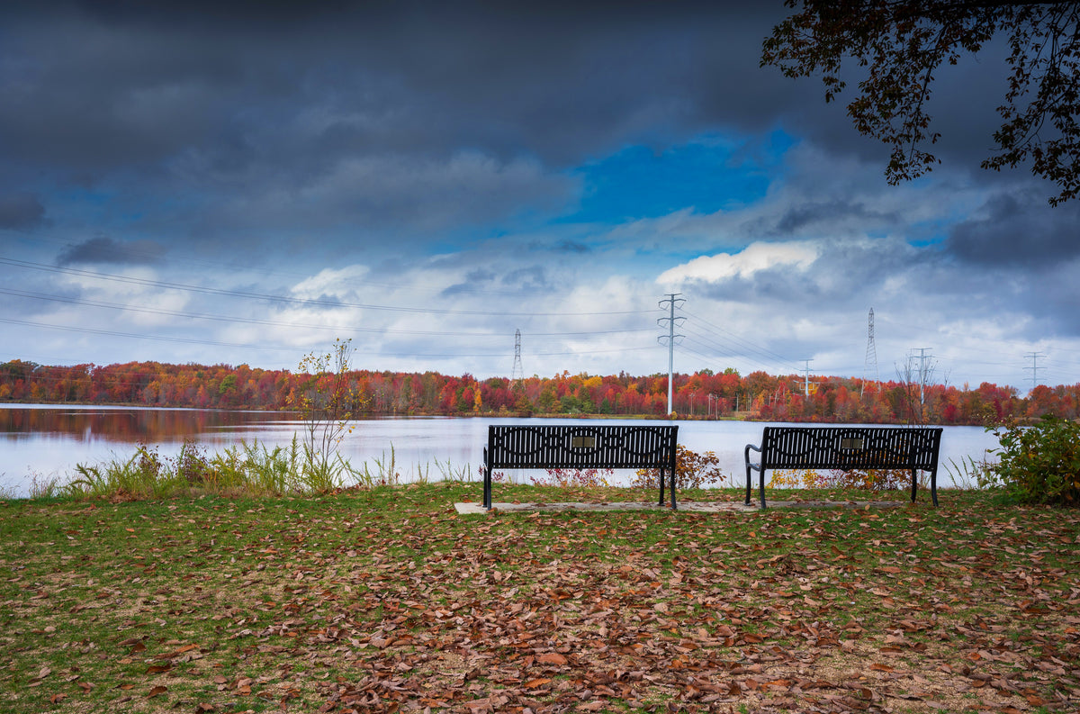 Autumn Stillness