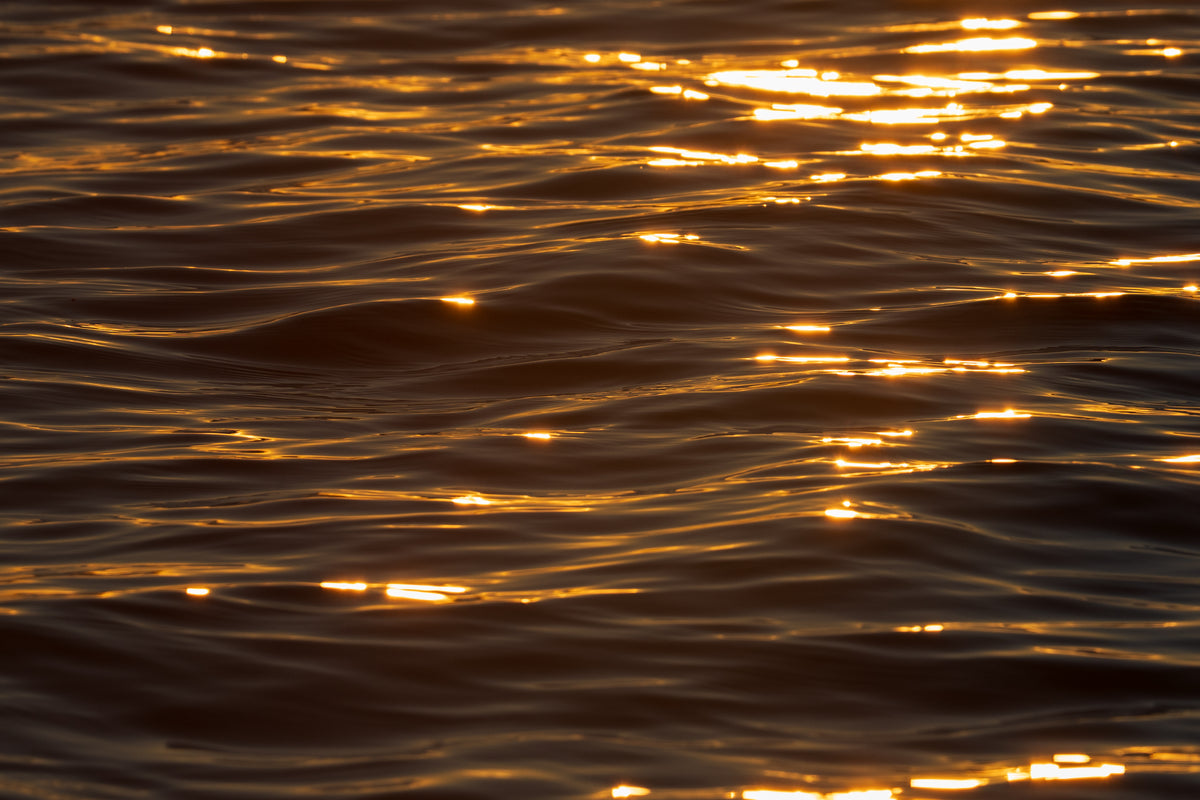 Early Morning Light